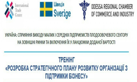 ТРЕНІНГ «РОЗРОБКА СТРАТЕГІЧНОГО ПЛАНУ РОЗВИТКУ ОРГАНІЗАЦІЇ З ПІДТРИМКИ БІЗНЕСУ»