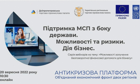 ПІДТРИМКА МСП З БОКУ ДЕРЖАВИ. МОЖЛИВОСТІ ТА РИЗИКИ. ДІЯ БІЗНЕС.