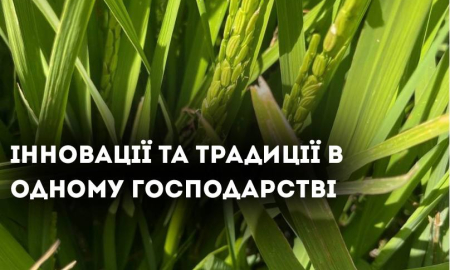 ІННОВАЦІЇ ТА ТРАДИЦІЇ В ОДНОМУ ГОСПОДАРСТВІ